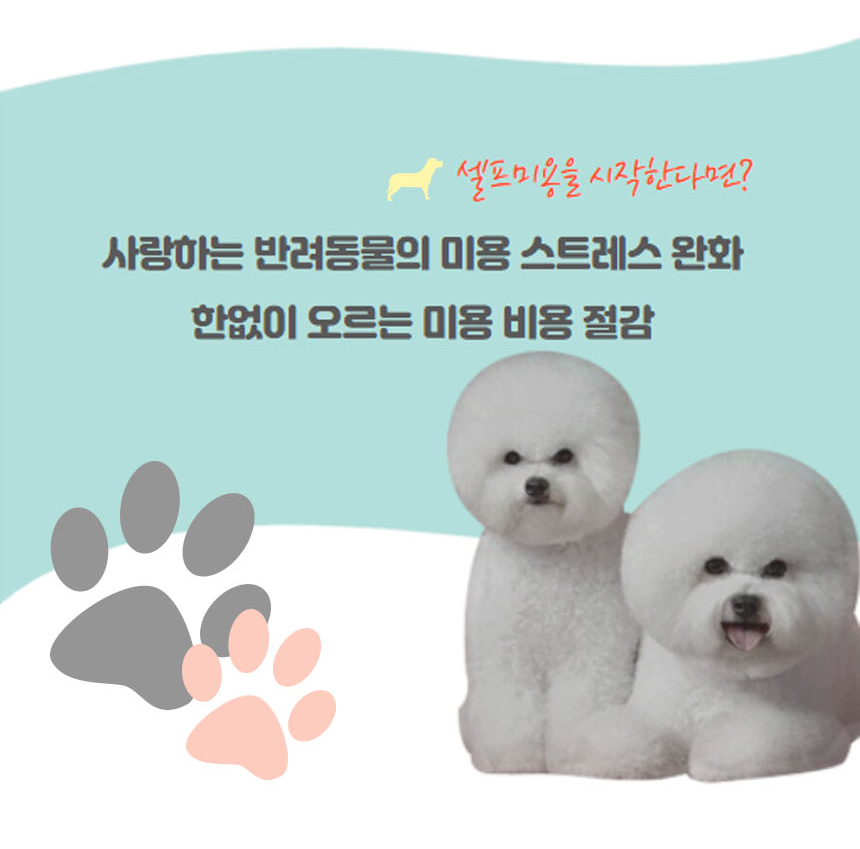 블루윙 애견 미용가위 3종세트 반려동물 애완용품/가위/강아지가위/애견가위/애견미용가위/반려견가위/셀프