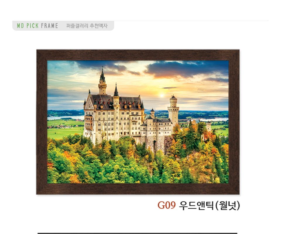 1000피스 직소퍼즐 노이슈반스타인 성 AL3014/퍼즐/직소퍼즐/취미/취미퍼즐/그림퍼즐/액자퍼즐/퍼즐액자/안