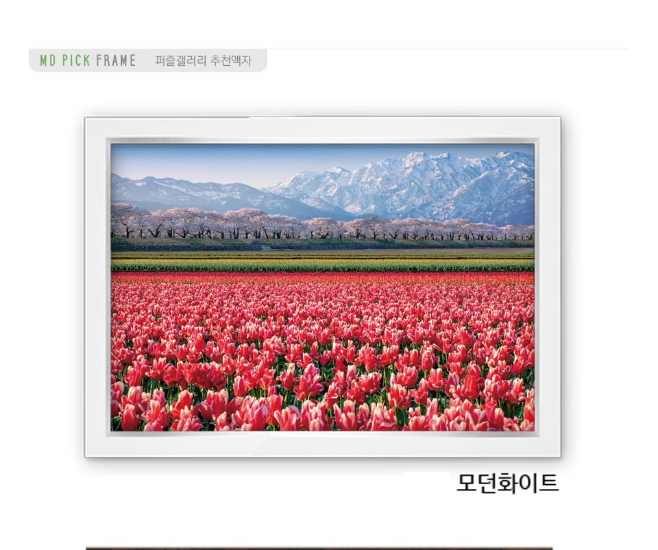 500피스 분홍 튤립 들판 ( CA5155 )/튤립퍼즐/튤립직소퍼즐/풍경퍼즐/퍼즐/직소퍼즐/그림퍼즐/액자퍼즐/퍼