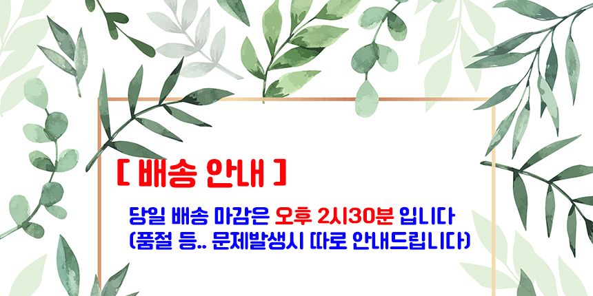 미니기타 바이올린 우쿨렐레 칼림바 조립식 거치대/악기받침/악기받침대/우크렐레보관대/작은기타거치대/바