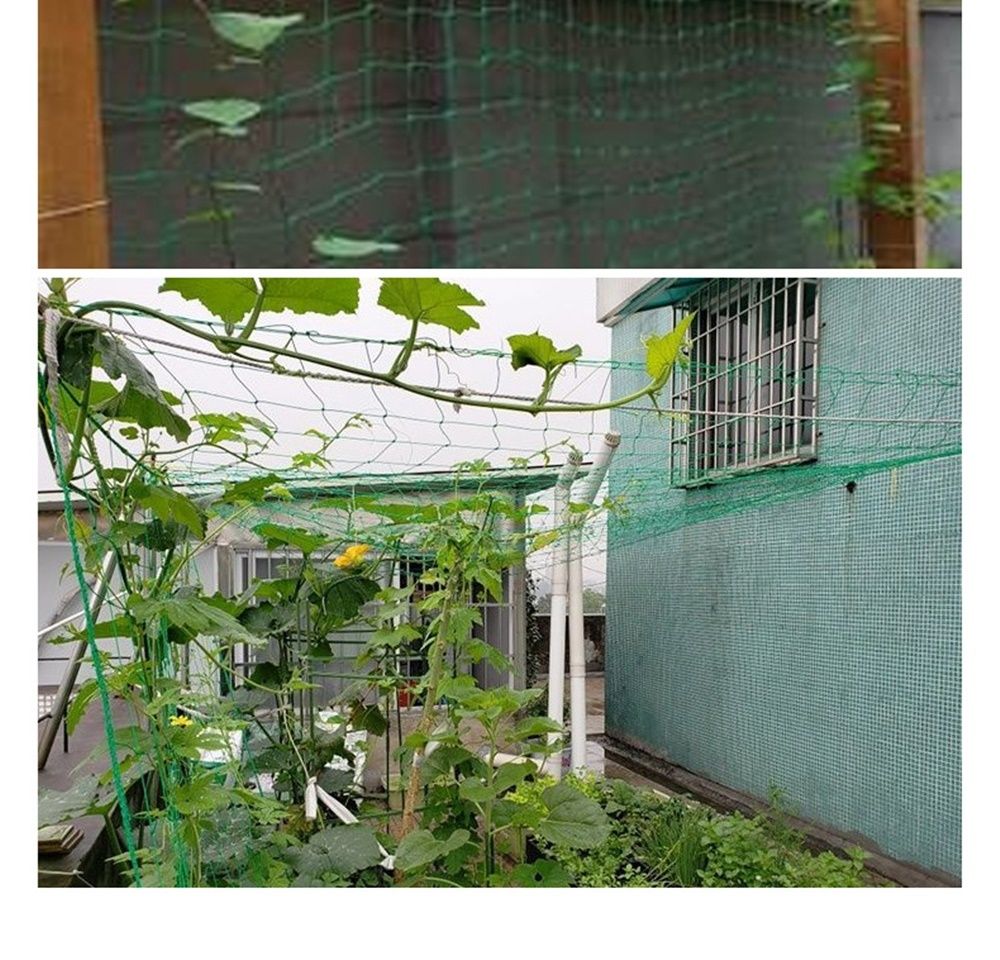 식물용 오이 원예 넝쿨 그물망 1.8 x 5.0m (1.3mm)/넝쿨/넝쿨조화/조화넝쿨/인조넝쿨/인조담쟁이넝쿨/인테