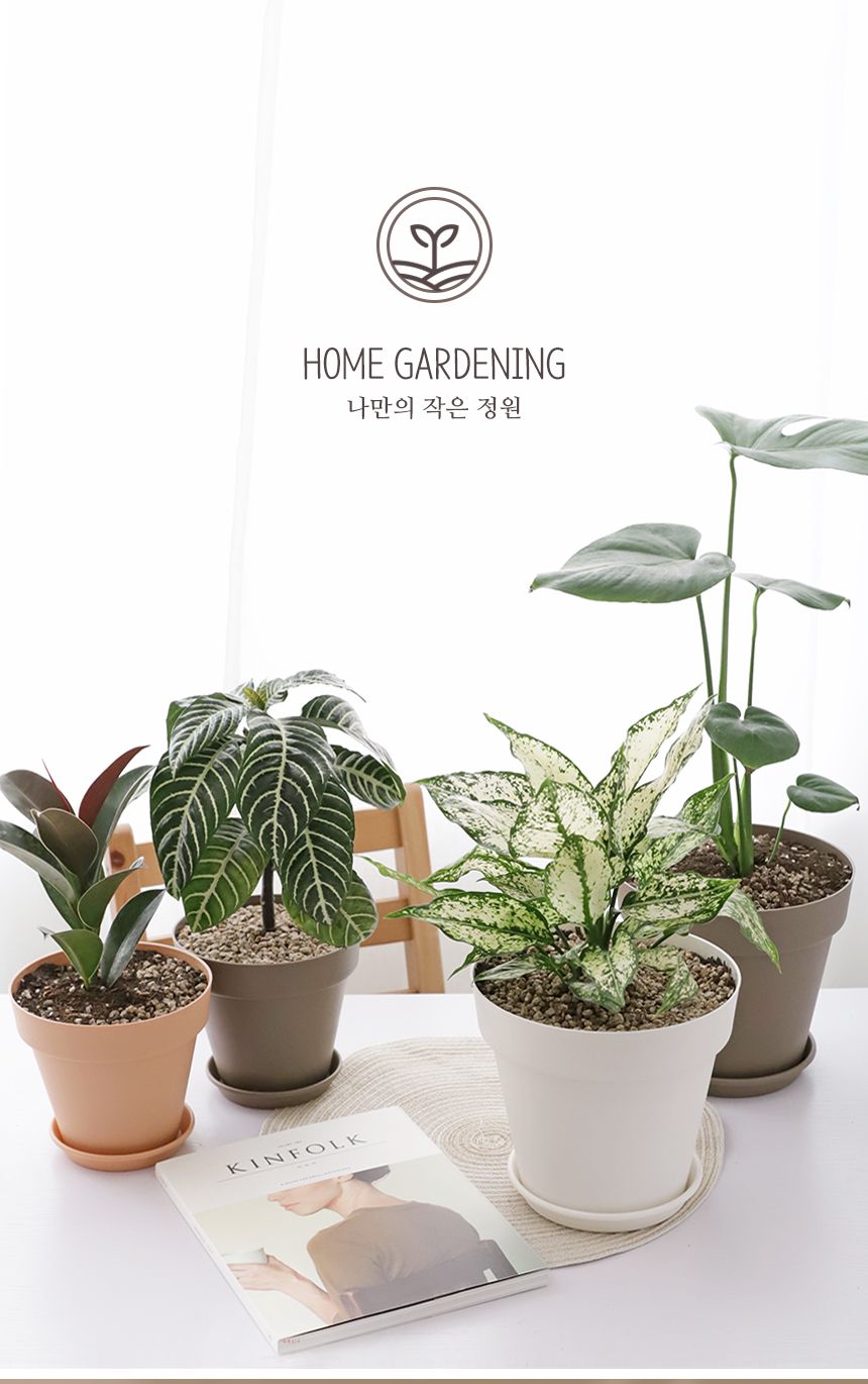 베란다 홈가드닝 실내인테리어 작은정원 아트화분 4호/화분/미니화분/인테리어화분/심플화분/분갈이/분갈이