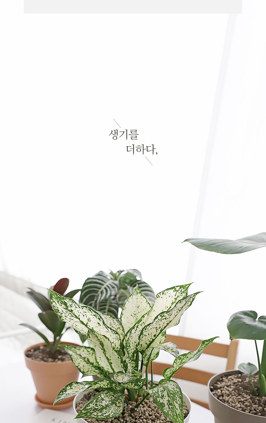 베란다 홈가드닝 실내인테리어 작은정원 아트화분 4호/화분/미니화분/인테리어화분/심플화분/분갈이/분갈이