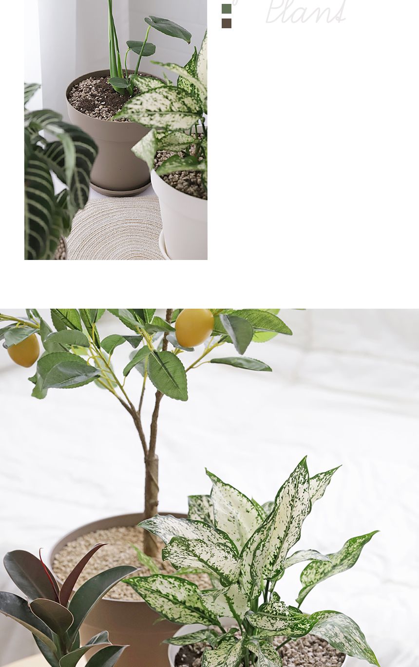 베란다 홈가드닝 실내인테리어 작은정원 아트화분 4호/화분/미니화분/인테리어화분/심플화분/분갈이/분갈이