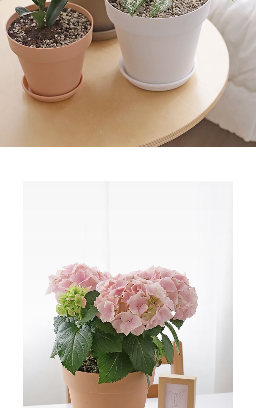 베란다 홈가드닝 실내인테리어 작은정원 아트화분 4호/화분/미니화분/인테리어화분/심플화분/분갈이/분갈이