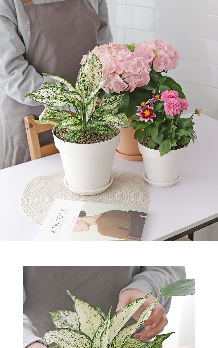 베란다 홈가드닝 실내인테리어 작은정원 아트화분 4호/화분/미니화분/인테리어화분/심플화분/분갈이/분갈이