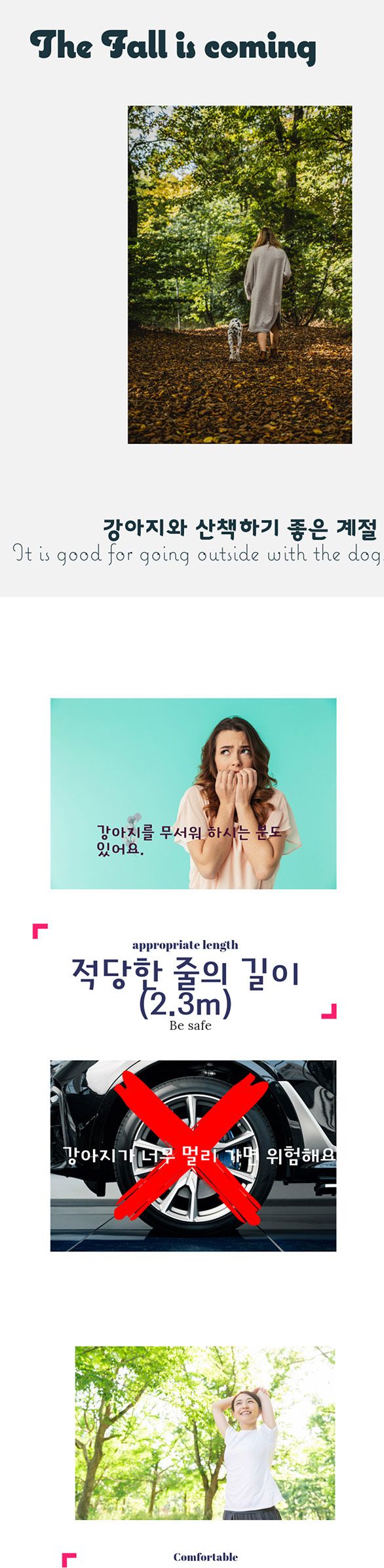 강아지와 함께 산책 및 러닝 강아지끈(연두 보라색)/산책용줄/산책용끈/강아지끈/강아지리드줄/리드줄/허리