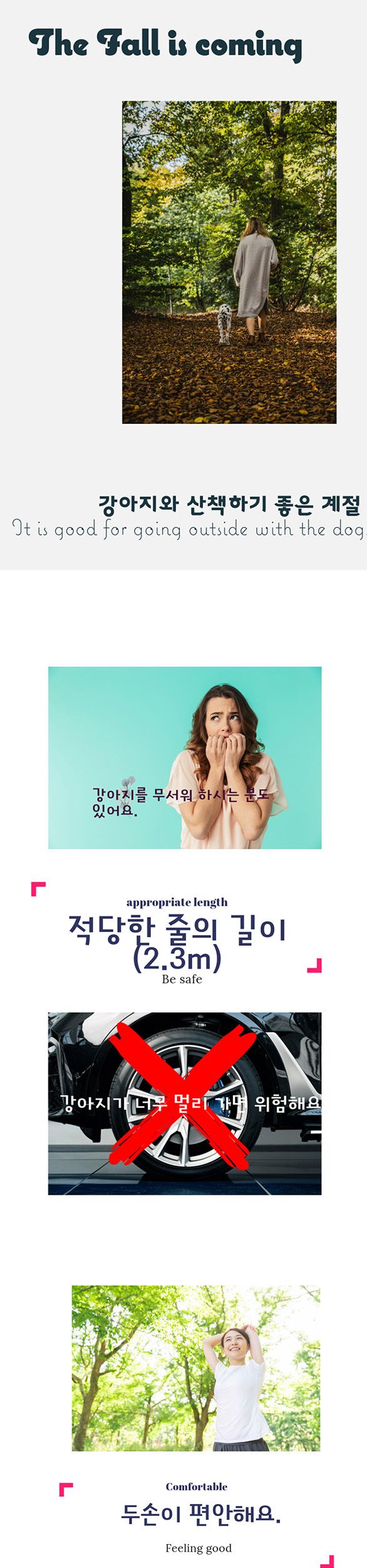 강아지와 함께 산책 및 러닝 강아지끈(노랑 분홍색)/산책용줄/산책용끈/강아지끈/강아지리드줄/리드줄/허리