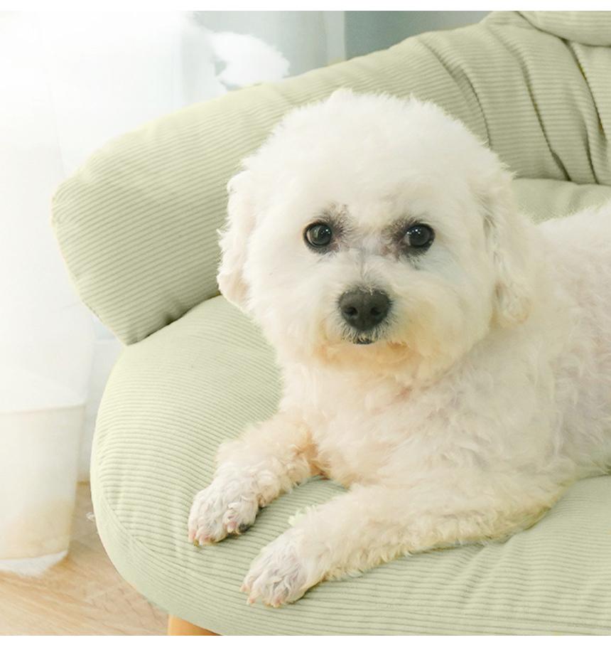 코튼 애견쇼파 강아지 고양이 방석 쿠션 의자 해먹/애견쇼파/애견의자/애견방석/애견쿠션/강아지방석/강아
