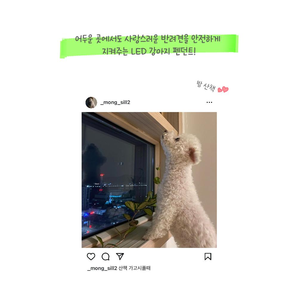 강아지 LED 야간산책 펜던트/강아지목걸이/반려견펜던트/반려견목줄/강아지목줄/강아지산책용품/반려견목걸
