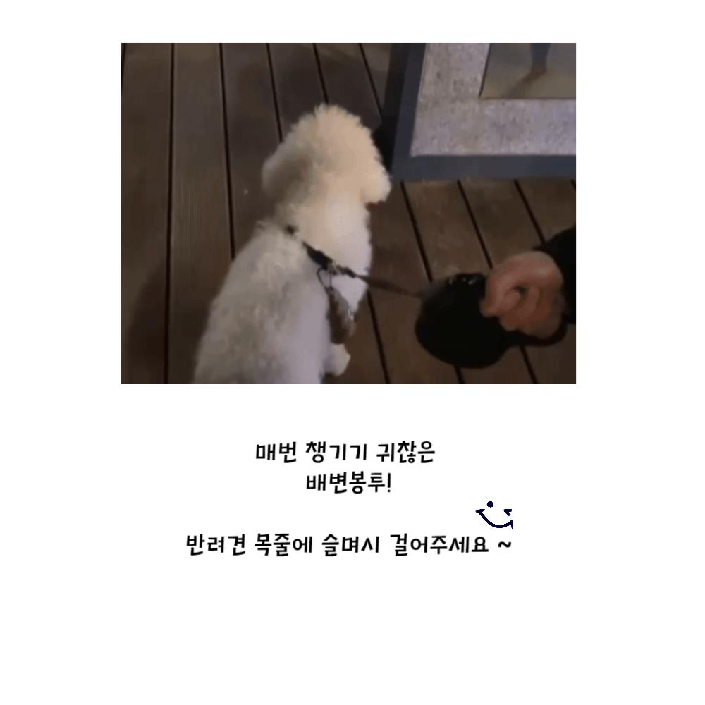 똥모양 카라비너 배변봉투 세트/배변봉투리필/강아지산책용품/배변용품/배변봉투세트/비닐/강아지똥비닐/강
