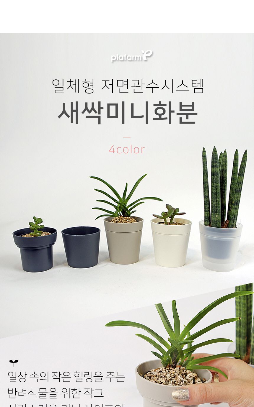 플라팜 새싹미니화분 36개 세트/원형화분/받침일체화분/아이디어화분/화분/분갈이/분갈이화분/플라스틱화분