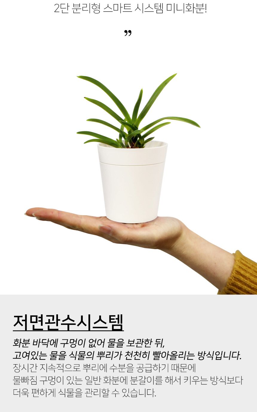플라팜 새싹미니화분 36개 세트/원형화분/받침일체화분/아이디어화분/화분/분갈이/분갈이화분/플라스틱화분
