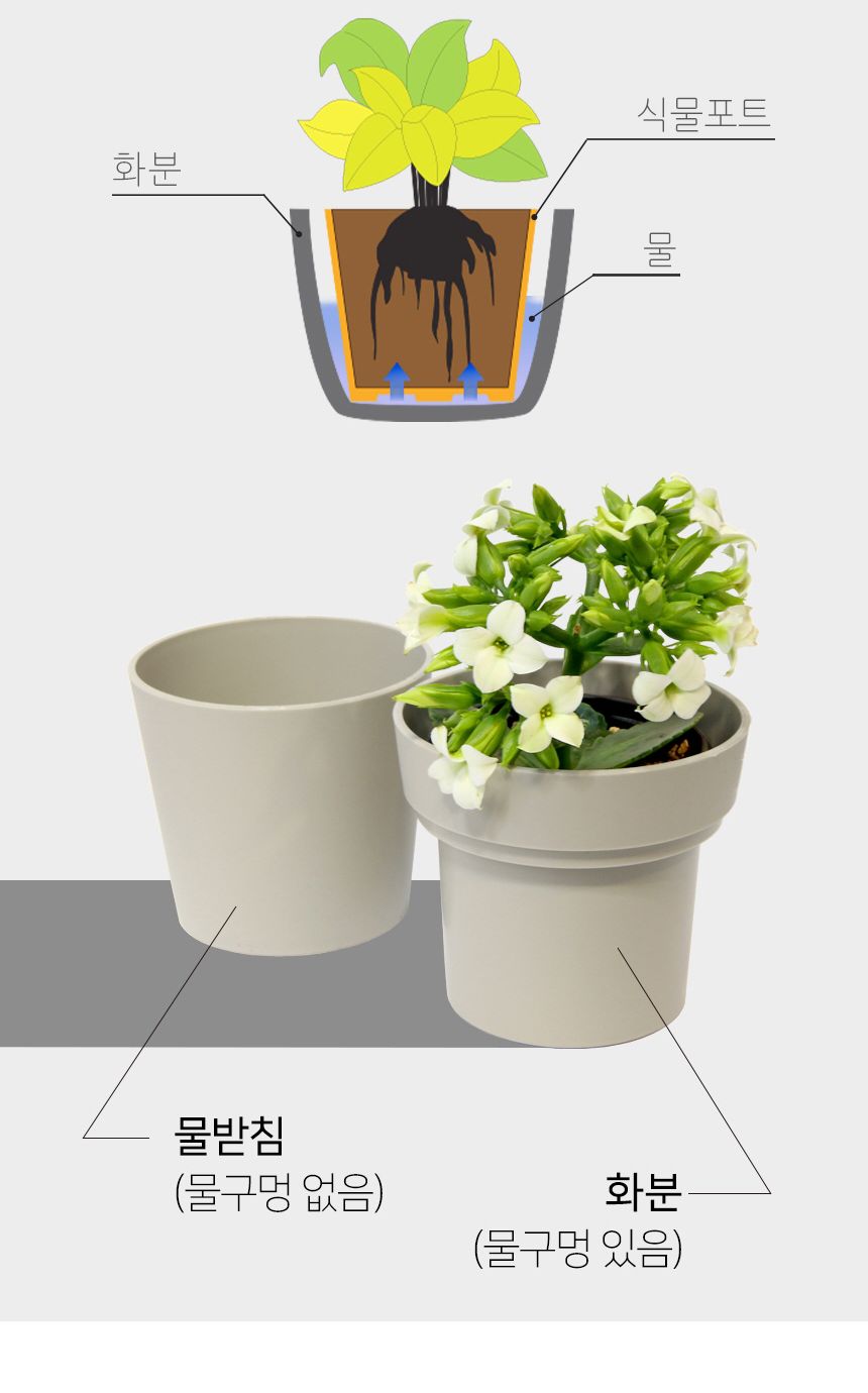 플라팜 새싹미니화분 36개 세트/원형화분/받침일체화분/아이디어화분/화분/분갈이/분갈이화분/플라스틱화분