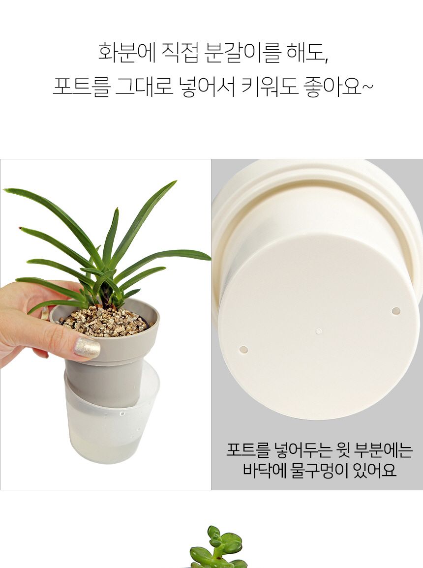 플라팜 새싹미니화분 36개 세트/원형화분/받침일체화분/아이디어화분/화분/분갈이/분갈이화분/플라스틱화분