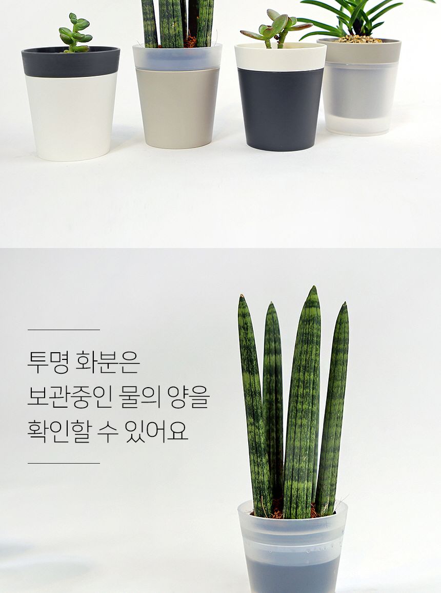 플라팜 새싹미니화분 36개 세트/원형화분/받침일체화분/아이디어화분/화분/분갈이/분갈이화분/플라스틱화분