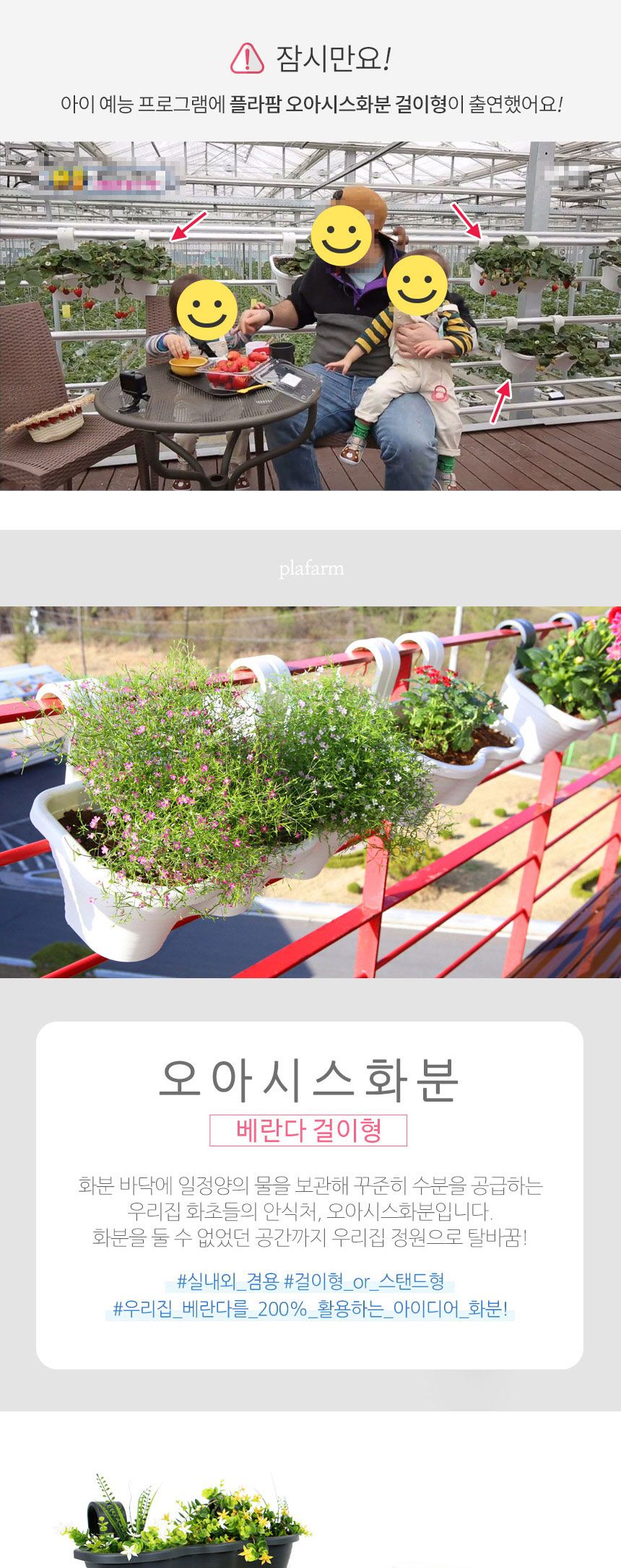 플라팜 오아시스화분 걸이형 2구 6개 세트 화이트/걸이화분/걸이식화분/베란다걸이화분/아이디어화분/다육
