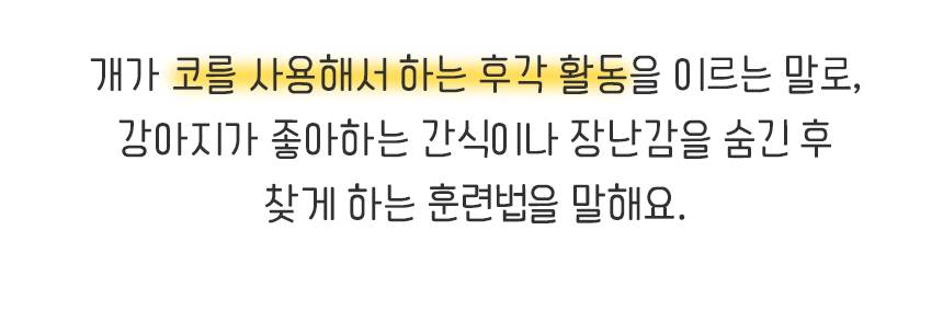 강아지 노즈워크 애견 분리불안 해소 장난감/노즈워크/노즈워크장난감/스낵볼/강아지간식볼/강아지스낵볼/