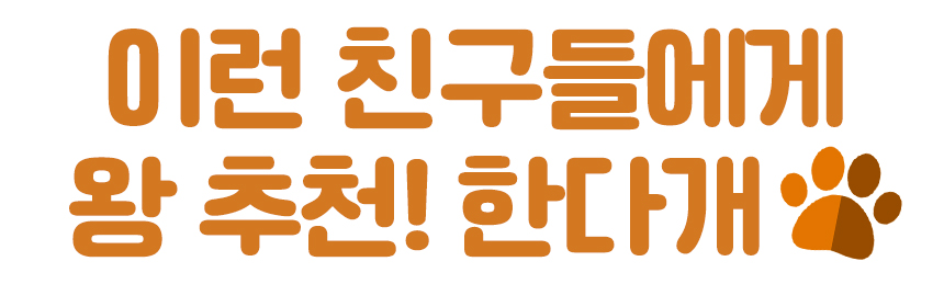 강아지 노즈워크 애견 분리불안 해소 장난감/노즈워크/노즈워크장난감/스낵볼/강아지간식볼/강아지스낵볼/