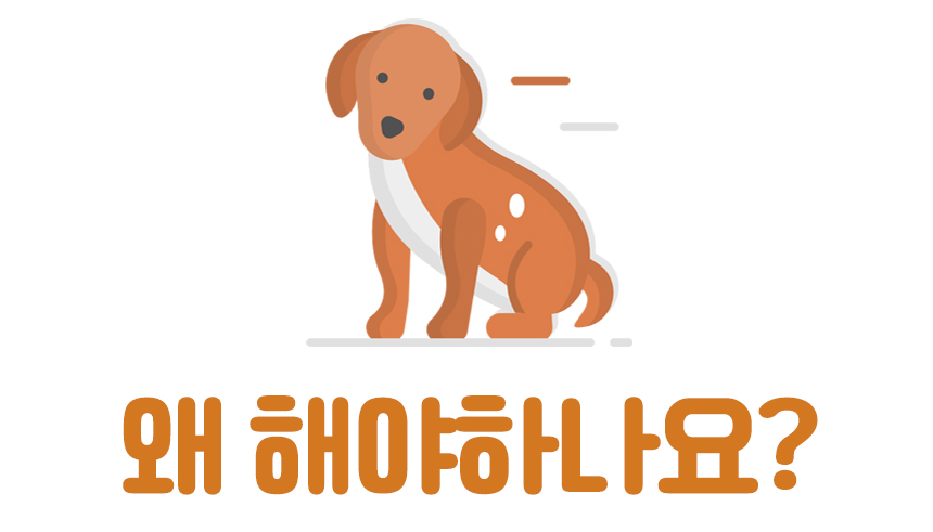강아지 노즈워크 애견 분리불안 해소 장난감/노즈워크/노즈워크장난감/스낵볼/강아지간식볼/강아지스낵볼/