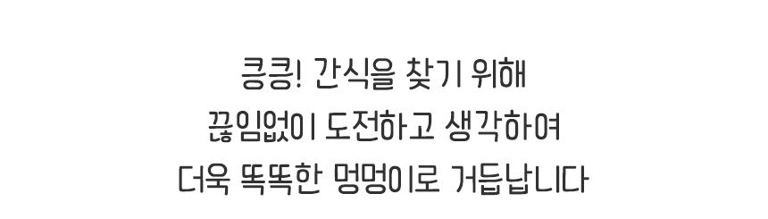 강아지 노즈워크 애견 분리불안 해소 장난감/노즈워크/노즈워크장난감/스낵볼/강아지간식볼/강아지스낵볼/