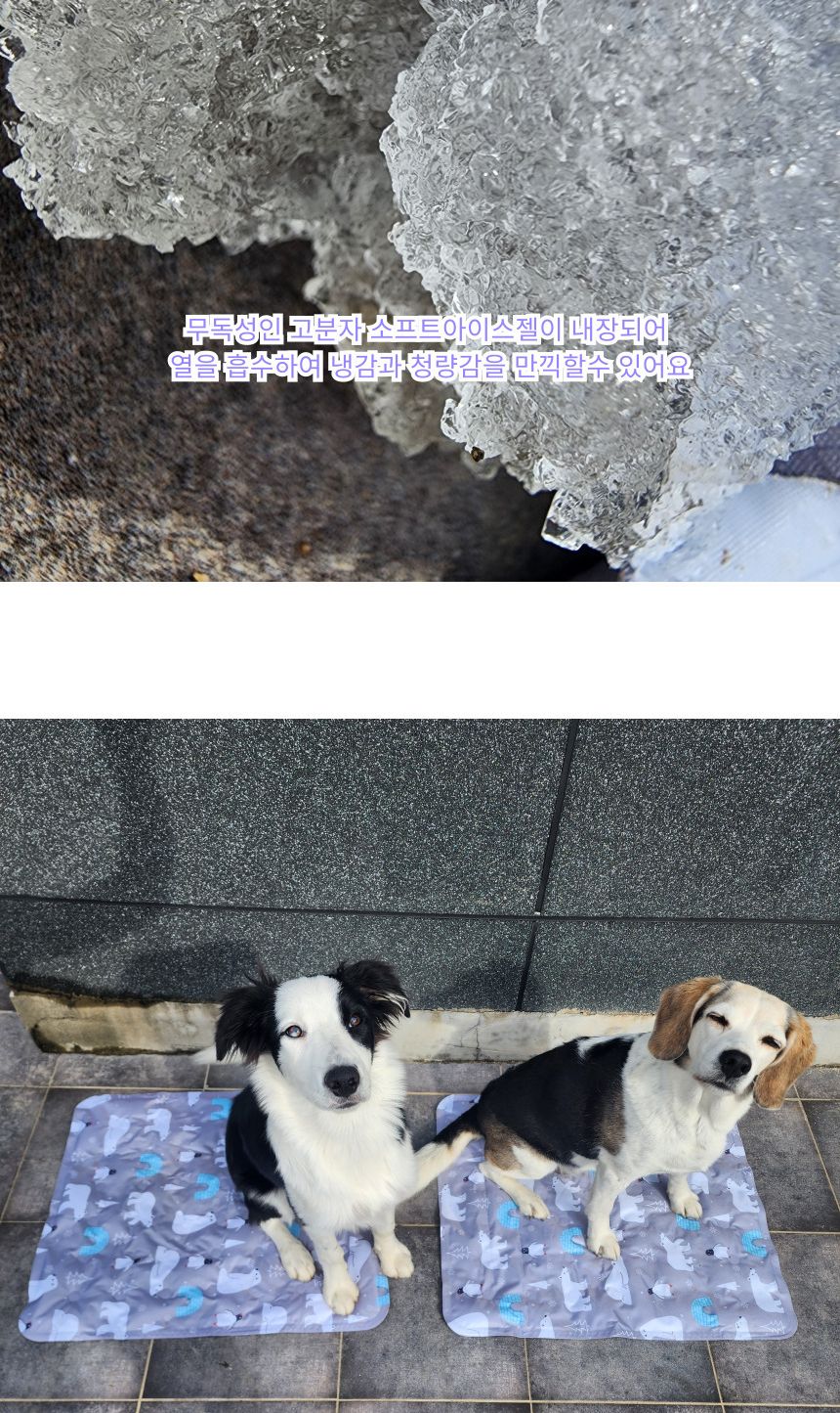 강아지 아이스 쿨매트 쿨방석 얼음 패드/쿨매트/냉감매트/강아지용매트/쿨방석/고양이쿠션/시원한매트/강아