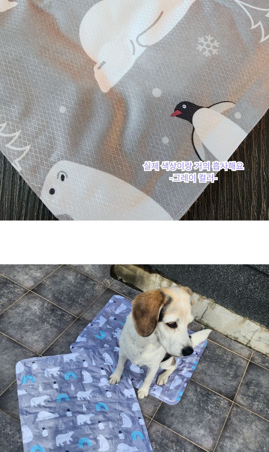 강아지 아이스 쿨매트 쿨방석 얼음 패드/쿨매트/냉감매트/강아지용매트/쿨방석/고양이쿠션/시원한매트/강아