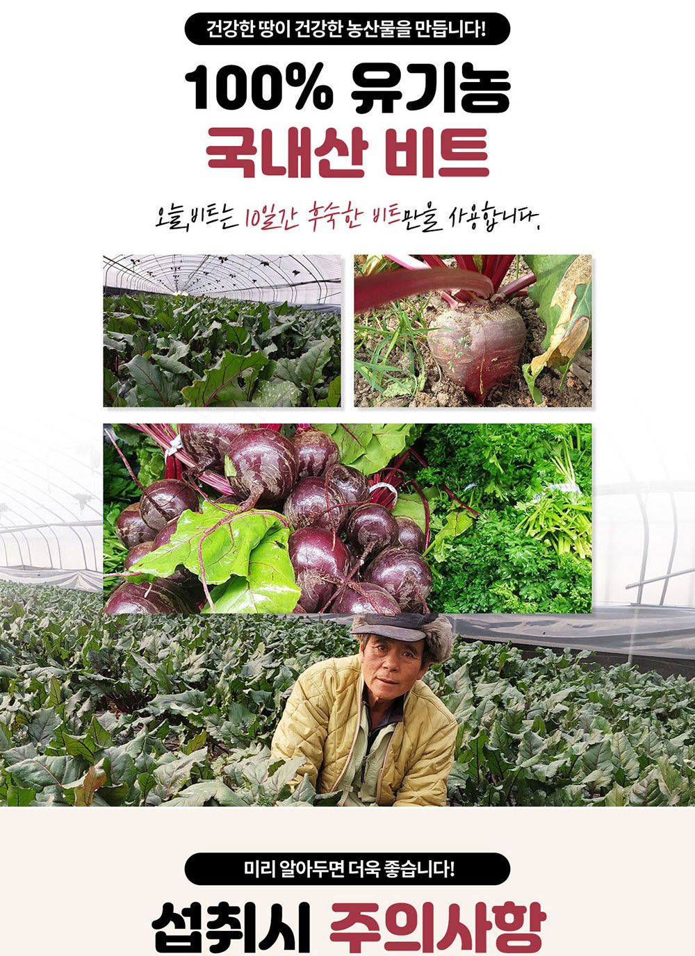 (초록한입) 국내산 비트즙 80ml x 21포/비트즙/비트쥬스/비트주스/액상비트/비트착즙/주스/쥬스/과즙/과즙