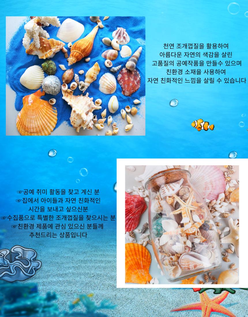 100g 흰색 미니 고동 조개 젤캔들 바다장식 조개껍질/미니조개/젤캔들조개/젤캔들바다장식조개/젤캔들바다