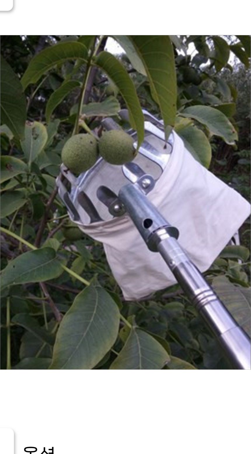 원예용품 농사기구 열매 감따개 과일 주머니 채집망/원예용품/농사도구/감따개/열매따는도구/수확기/열매따