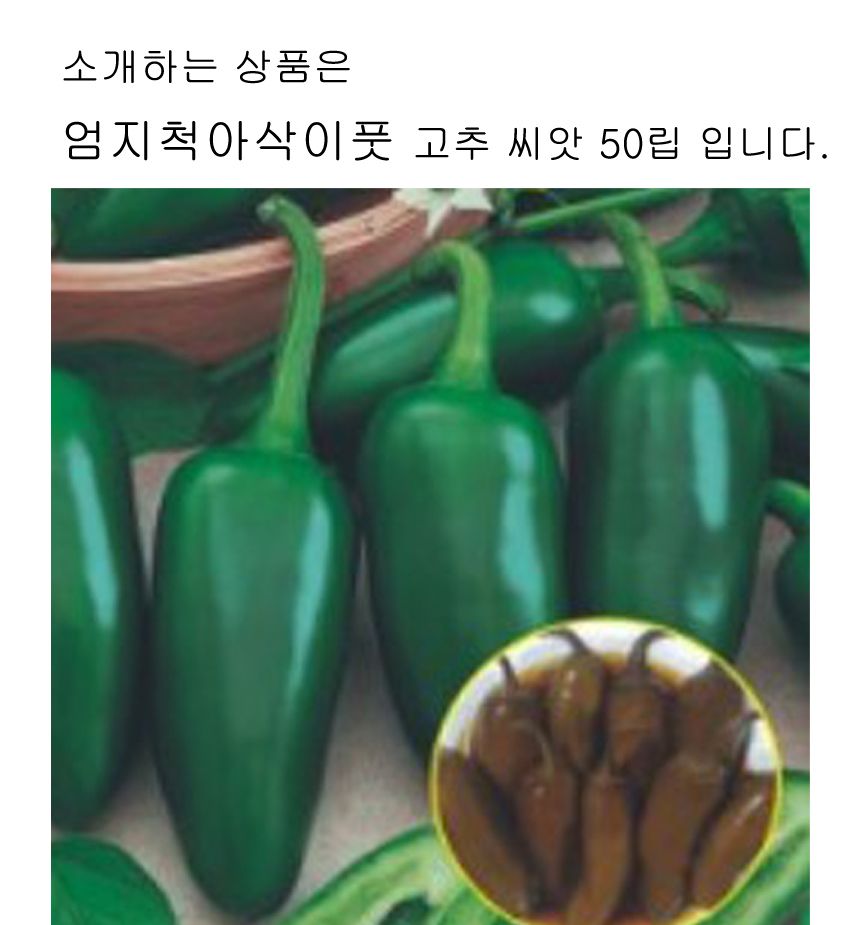 엄지척아삭이풋 고추 품종 채소 씨 종자 씨앗 50립/씨/씨앗/야채심기/종자판매/종묘사/씨앗판매/채소씨/종
