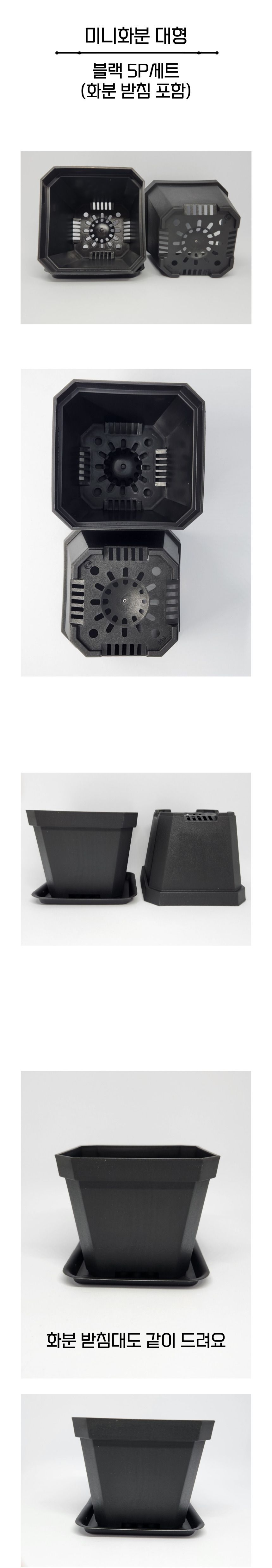 미니화분 대형 10cm 블랙 5p세트 받침대포함/미니화분/플라스틱화분/화분/도자기화분/다육이화분/다육이/소