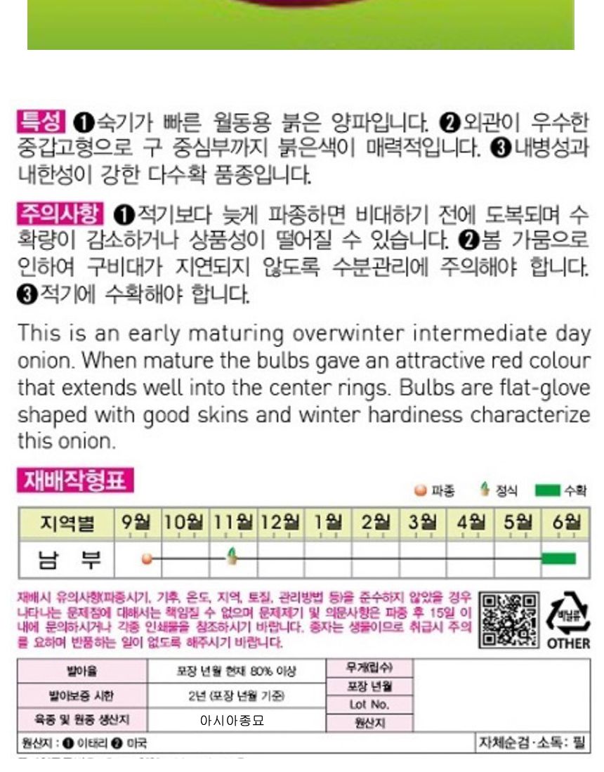 다수확 적양파 채소 자주 양파 품종 종자 씨앗 2.5g/씨/씨앗/양파씨/양파씨앗/양파키우기/야채심기/빨간양