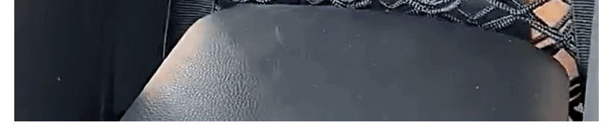 안전칸막이망 막아주넷/차량강아지안전망/차량정리망/차량칸막이망/자동차칸막이망/차량안전그물망/차량용