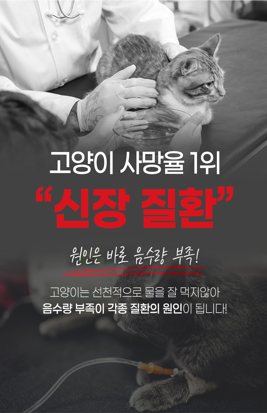 스마트 올 스텐 플라워 펫 정수기 2.5L 저전력 급수기/고양이정수기/고양이식기/고양이급수기/강아지정수기
