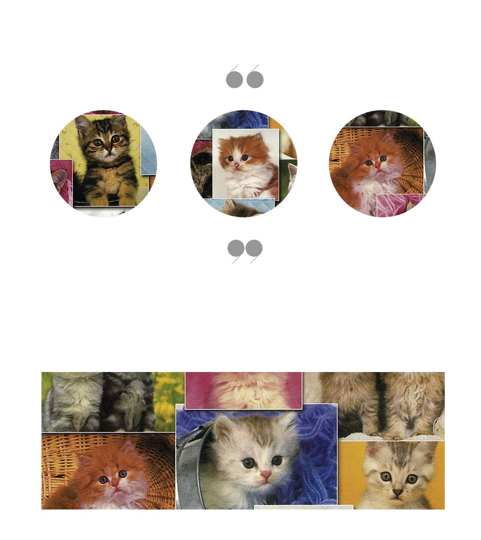 직소퍼즐 - 150피스 고양이 컬렉션/예쁜그림퍼즐/액자용퍼즐/그림퍼즐/멋진액자퍼즐/퍼즐/종이퍼즐/액자퍼