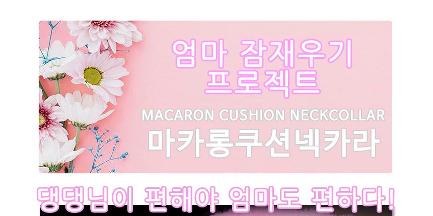 마카롱 쿠션넥카라/넥카라/목카라/강아지넥카라/강아지목카라/애견넥카라/애견목카라/애견깔때기/애견깔대