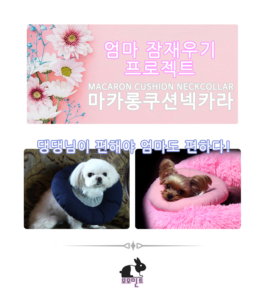 마카롱 쿠션넥카라/넥카라/목카라/강아지넥카라/강아지목카라/애견넥카라/애견목카라/애견깔때기/애견깔대