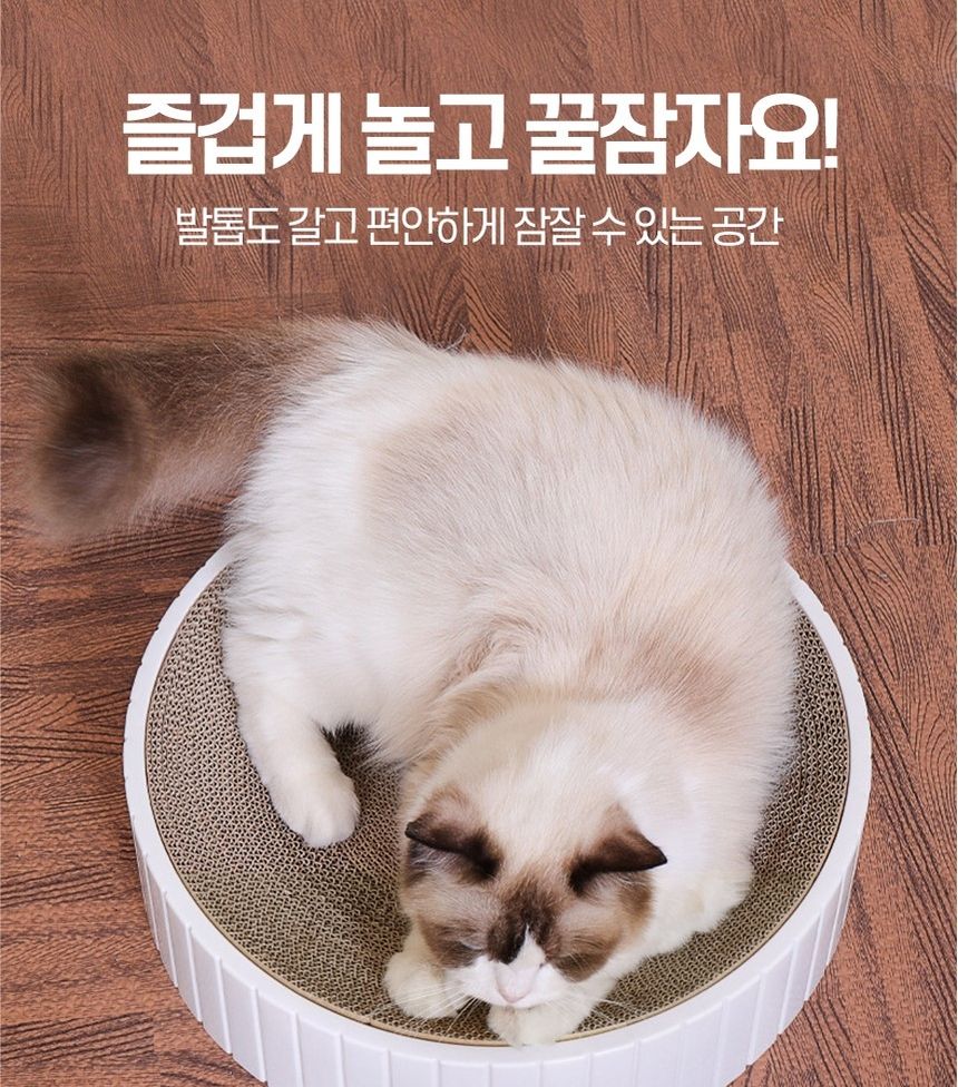 고양이 켓 발톱 원형 스크래쳐 14가지종류(블루L)/스크래처/스크레쳐/캣놀이터/캣스크래처/캣장난감/고양이