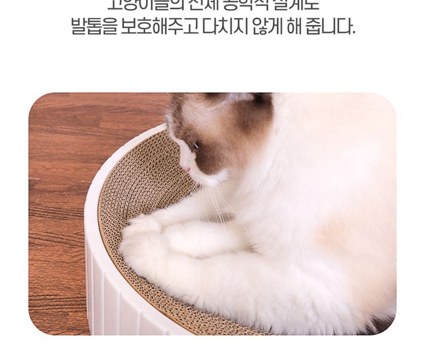 고양이 켓 발톱 원형 스크래쳐 14가지종류(블루L)/스크래처/스크레쳐/캣놀이터/캣스크래처/캣장난감/고양이