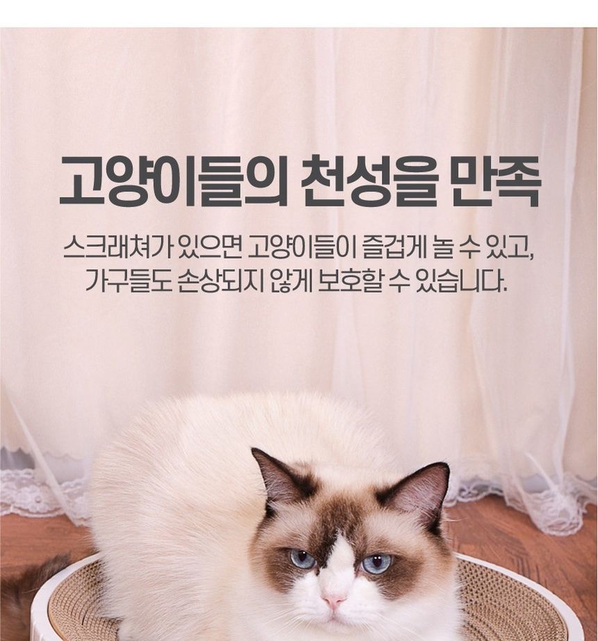 고양이 켓 발톱 원형 스크래쳐 14가지종류(블루L)/스크래처/스크레쳐/캣놀이터/캣스크래처/캣장난감/고양이