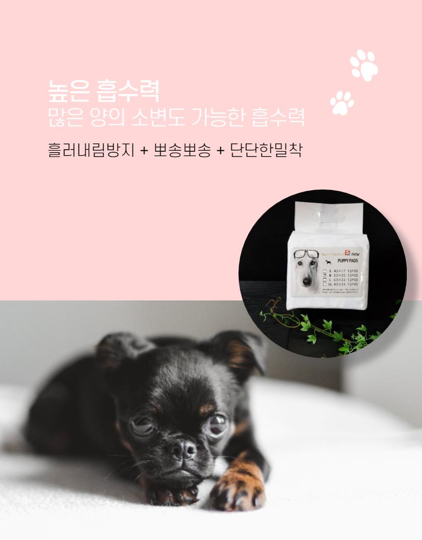 펫뽀송뽀송 강아지 기저귀여아용(소형s10매)/반려동물/용품/강아지배변용품/배변패드/강아지배변용품모음전