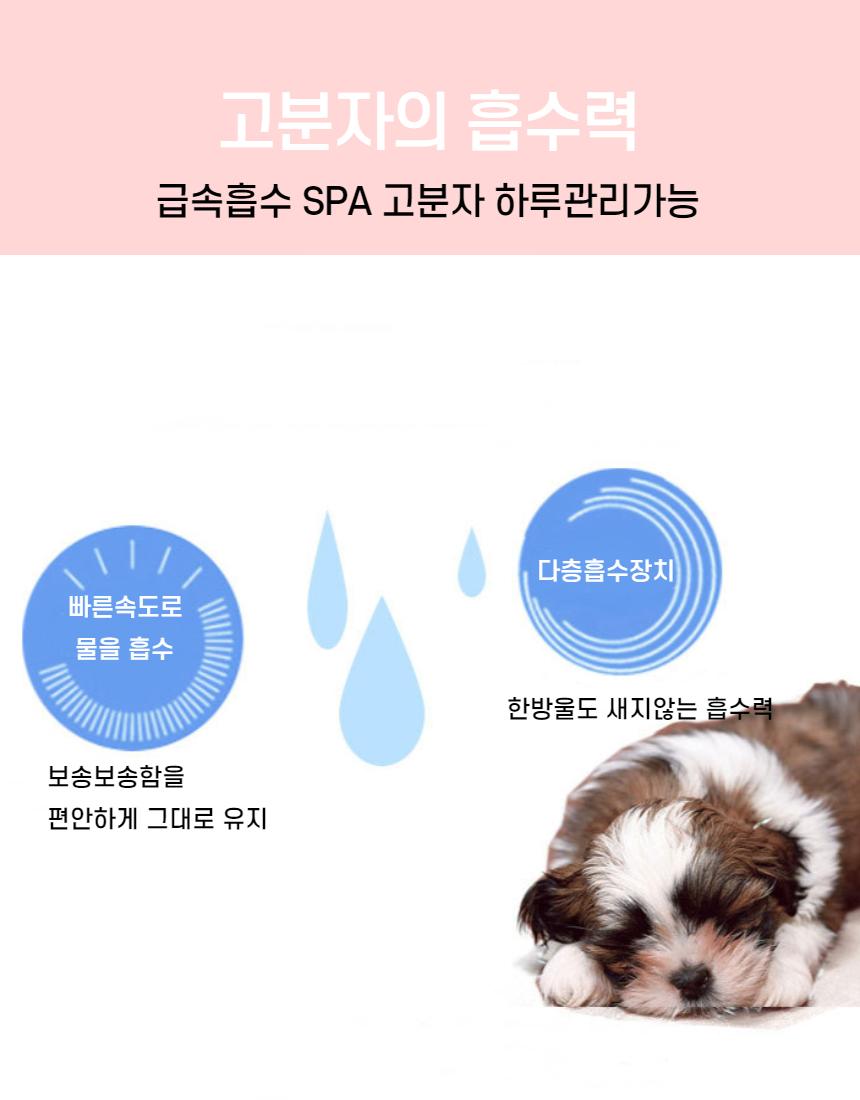 펫뽀송뽀송 강아지 기저귀여아용(소형s10매)/반려동물/용품/강아지배변용품/배변패드/강아지배변용품모음전