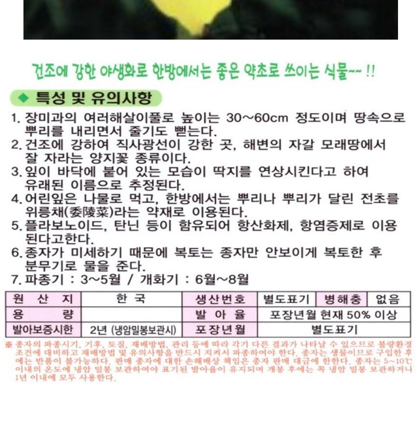 딱지꽃 씨앗 히프 야생화 꽃씨 종자 품종 정원 1000립/씨/씨앗/꽃씨/꽃씨앗/야생화씨/야생화씨앗/야생화키