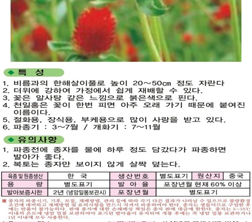 천일홍 레드 꽃 야생화 꽃씨 씨앗 종자 품종 1000립/씨/씨앗/꽃씨/꽃씨앗/야생화씨/야생화씨앗/야생화키우