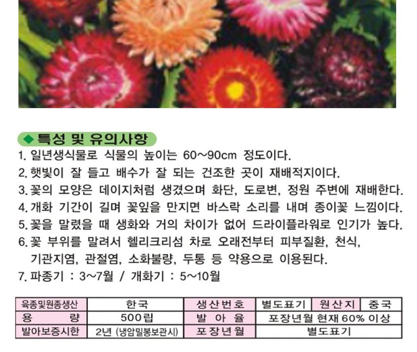 종이꽃 품종 커몬 밀짚꽃 씨 종자 품종 씨앗 500립/씨/씨앗/야생화씨/야생화씨앗/야생화키우기/꽃씨앗/정원