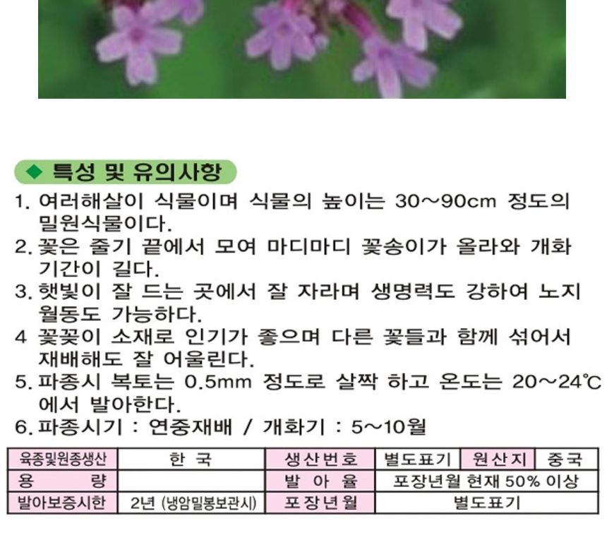 숙근버베나 버들마편초 품종 꽃씨 종자 씨앗 2000립/씨/씨앗/야생화씨/야생화씨앗/야생화키우기/꽃씨앗/정