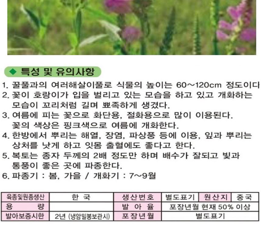 꽃범의꼬리 핑크 씨 야생화 꽃씨 종자 품종 1000립/씨/씨앗/야생화씨/야생화씨앗/야생화키우기/꽃씨앗/정원
