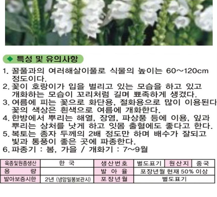 꽃범의꼬리 화이트 씨 야생화 꽃씨 종자 품종 1000립/씨/씨앗/야생화씨/야생화씨앗/야생화키우기/꽃씨앗/정