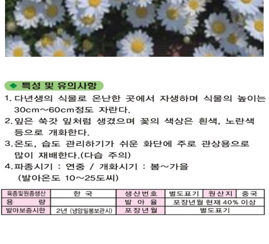 마가렛 씨 씨앗 야생화 꽃씨 종자 품종 2000립/씨/씨앗/야생화씨/야생화씨앗/야생화키우기/꽃씨앗/정원꾸미